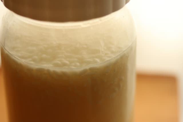 自家製「酒種元種」の作り方:米麹とご飯で育てる伝統酵母【完全ガイド・失敗しないコツ】