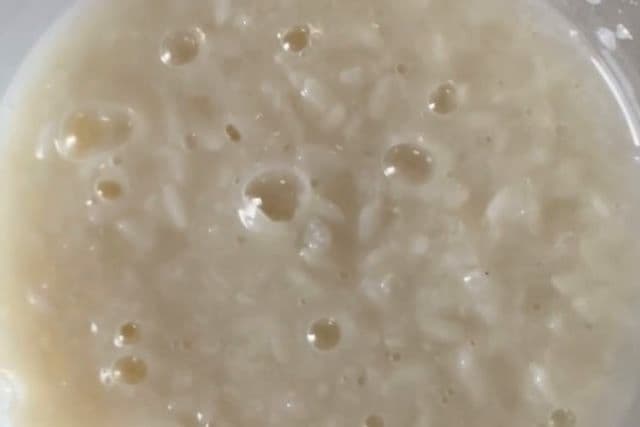 酒種 (Sake Yeast / Sake Lees Yeast)